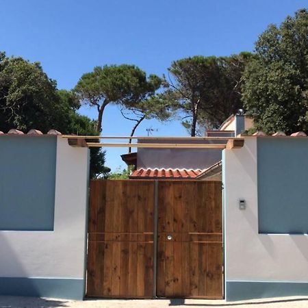 Апартаменты Viareggina Con Giardino Марина-ди-Пиза Экстерьер фото