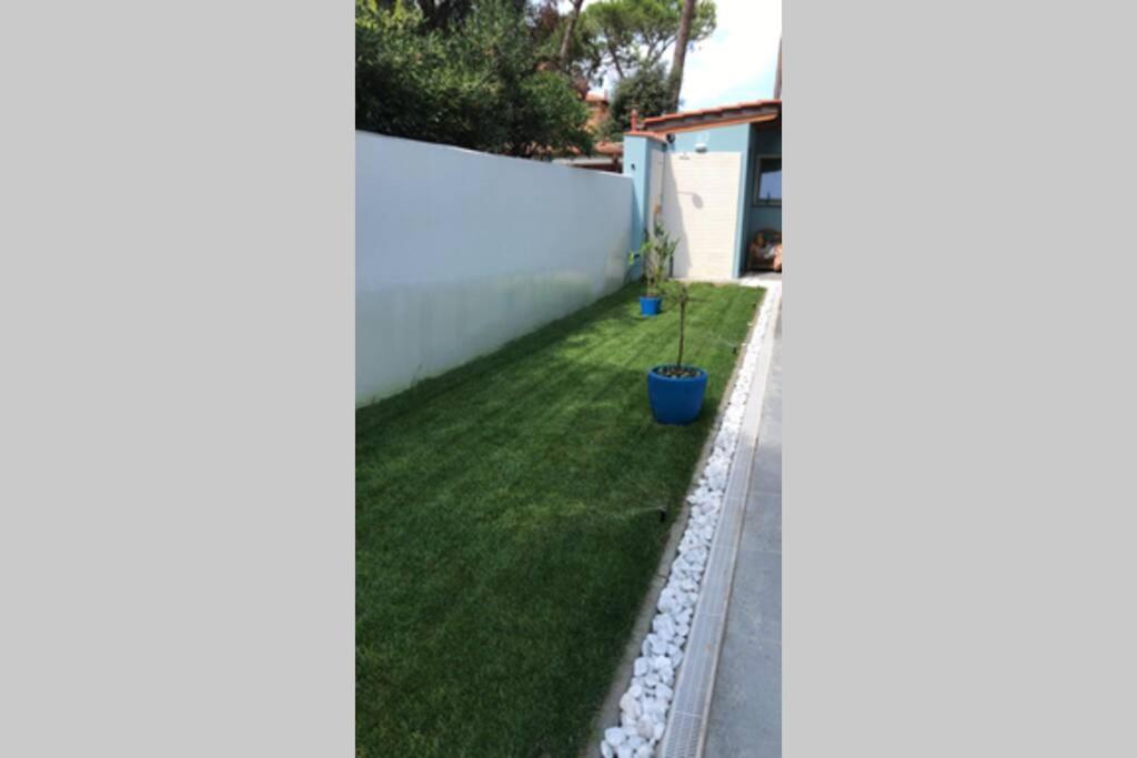 Апартаменты Viareggina Con Giardino Марина-ди-Пиза Экстерьер фото